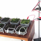 Illustration for article titled Moss-Covered Table Uses Photosynthesis To Power an FM Radio